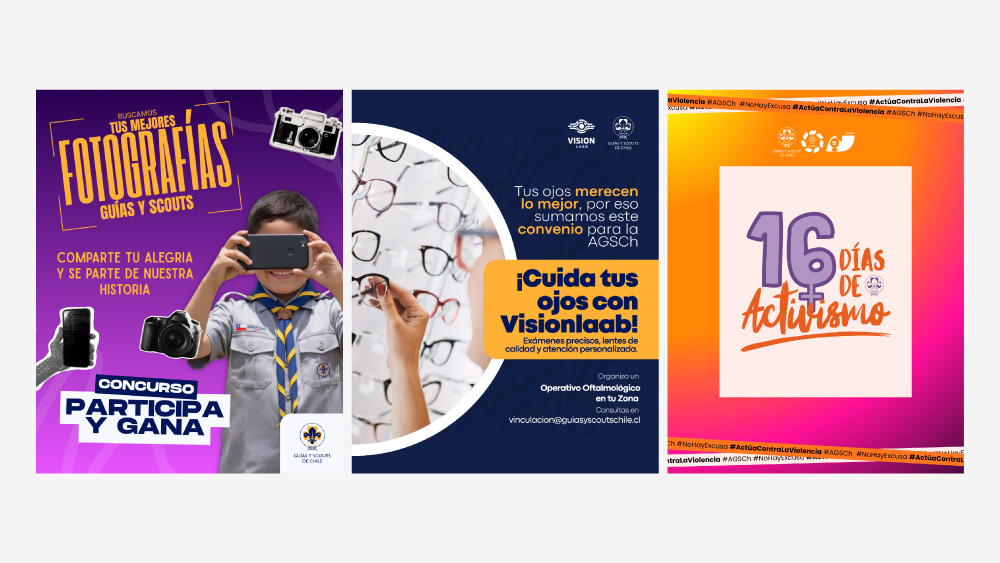 Ejemplo de uso del logo institucional junto a otros logos